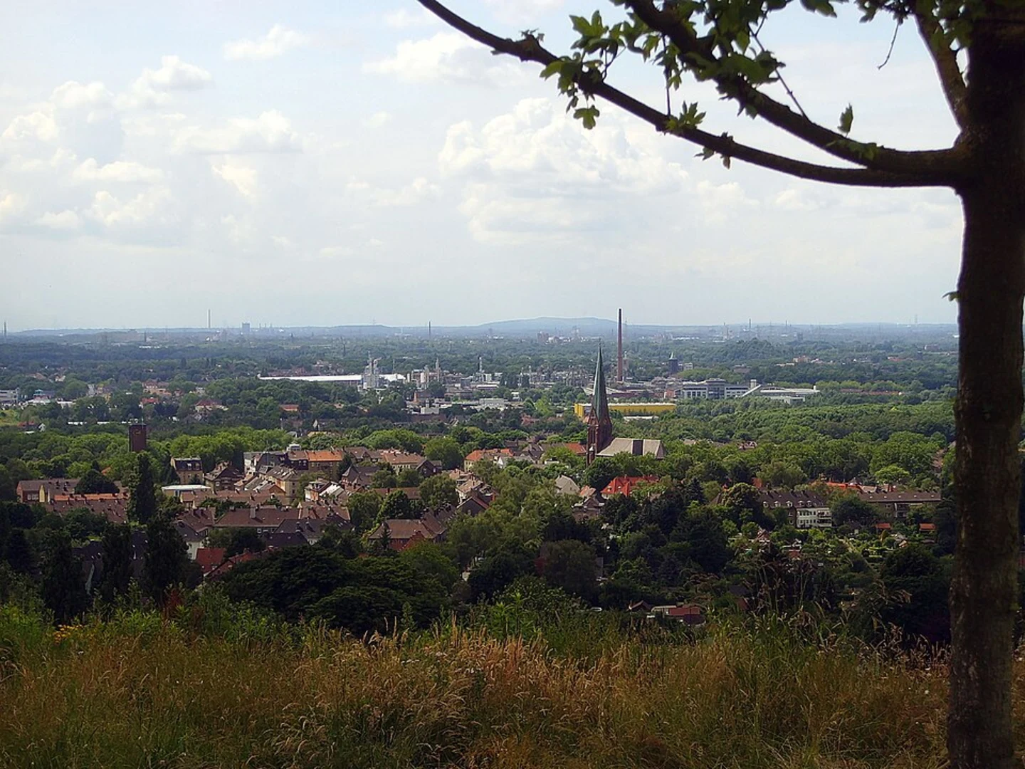 An image depicting the trail Tippelsberg, Unterer Stemberg-Teich and Stemberger Busch Loop and its surrounding area.