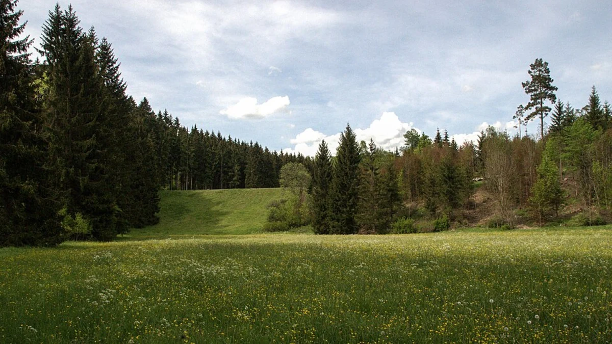 Riederweg and Sommernaldweg Loop