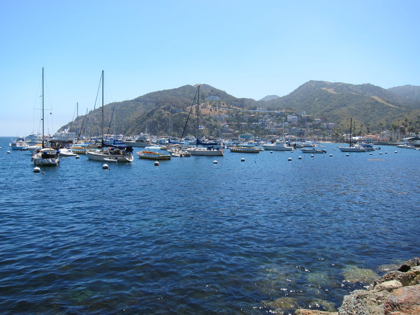 An image depicting the trail Trans Catalina Trail - Avalon to Two Harbors and its surrounding area.