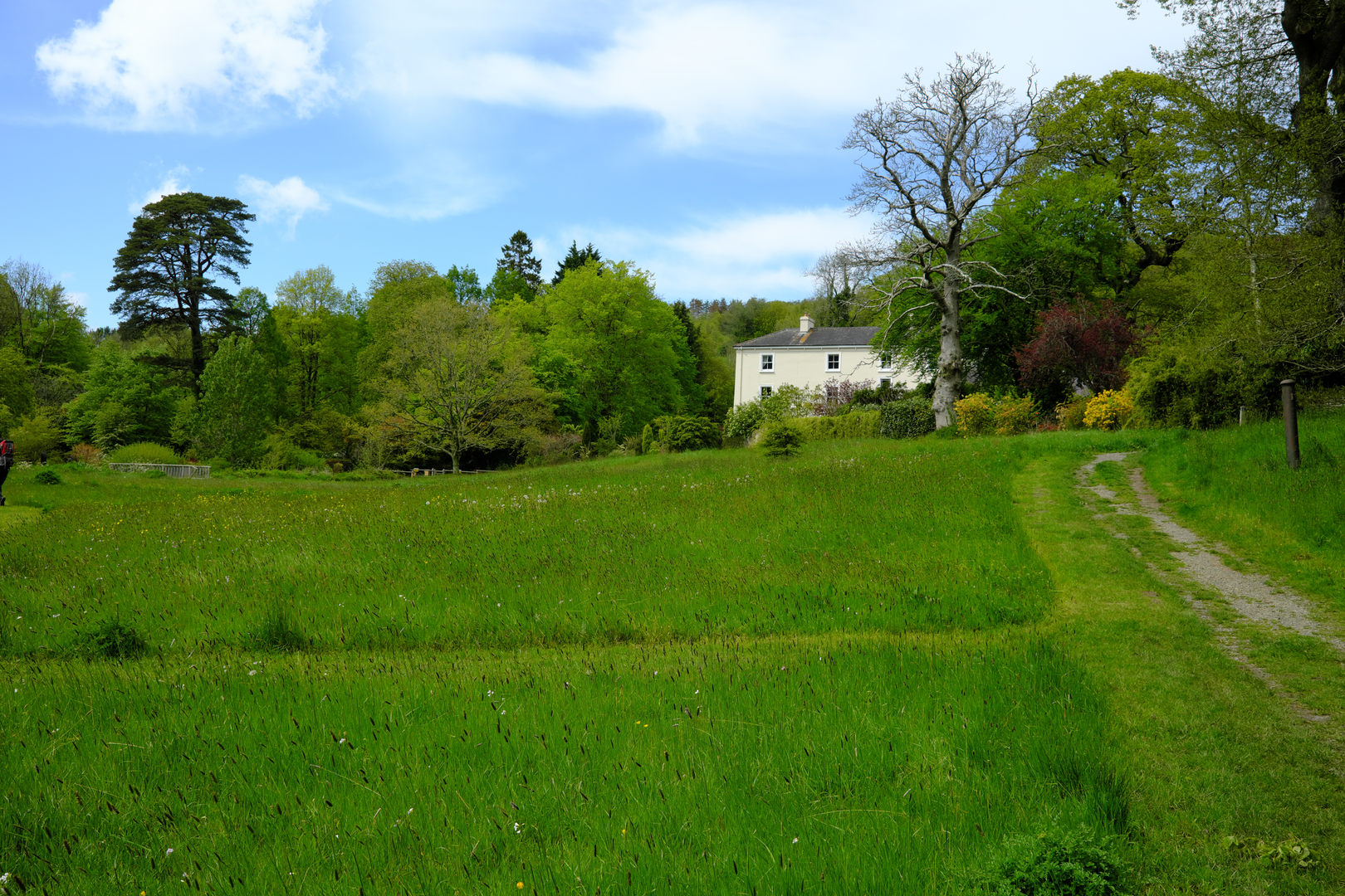 An image depicting the trail Craig-y-borion Walk and its surrounding area.