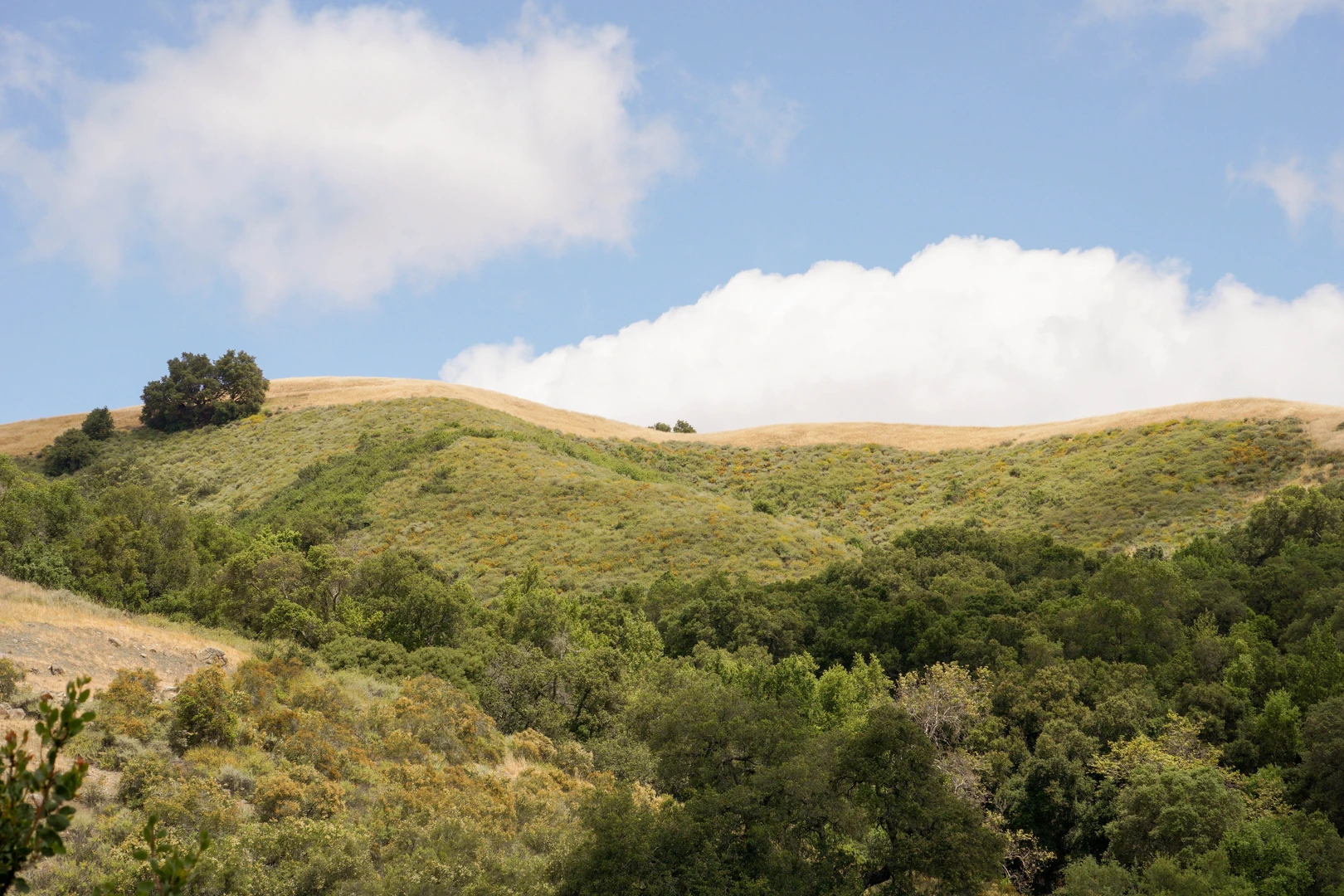 An image depicting the trail Animas Pond, Inspiration Point and Tulas Loop and its surrounding area.