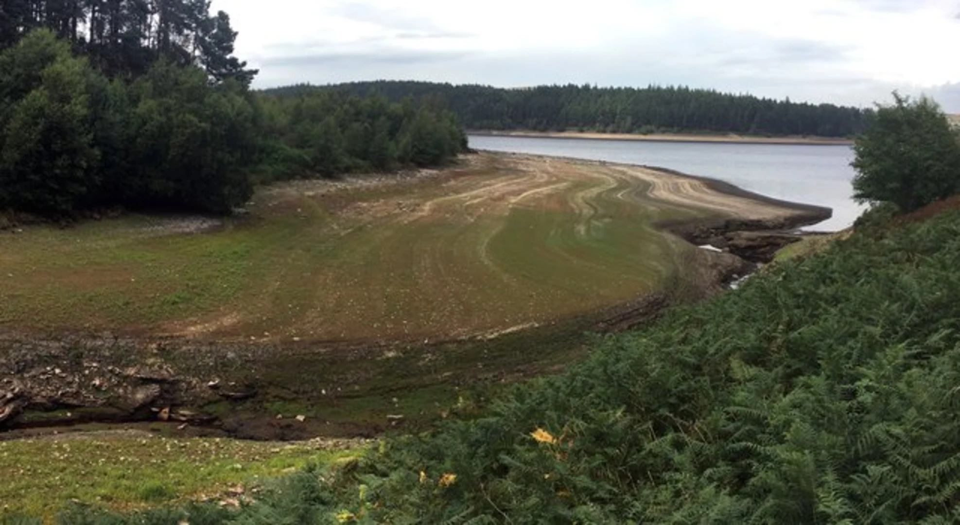 An image depicting the trail Langsett Reservoir to Howden Reservoir Loop Walk and its surrounding area.