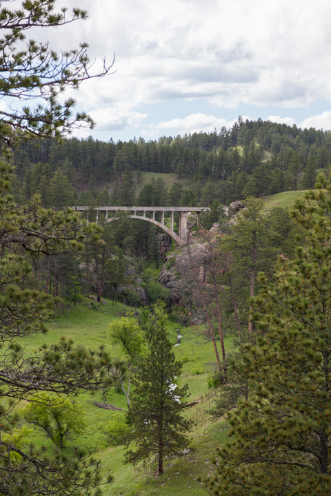 An image depicting the trail Lookout Point Trail and its surrounding area.