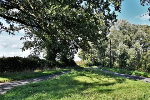 Knettishall Heath Country Park Short Loop