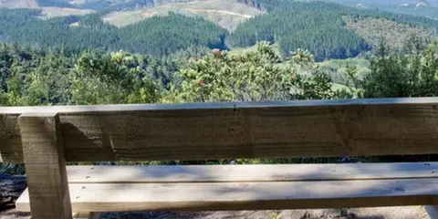 An image depicting the trail Matarangi Bluff Track and its surrounding area.