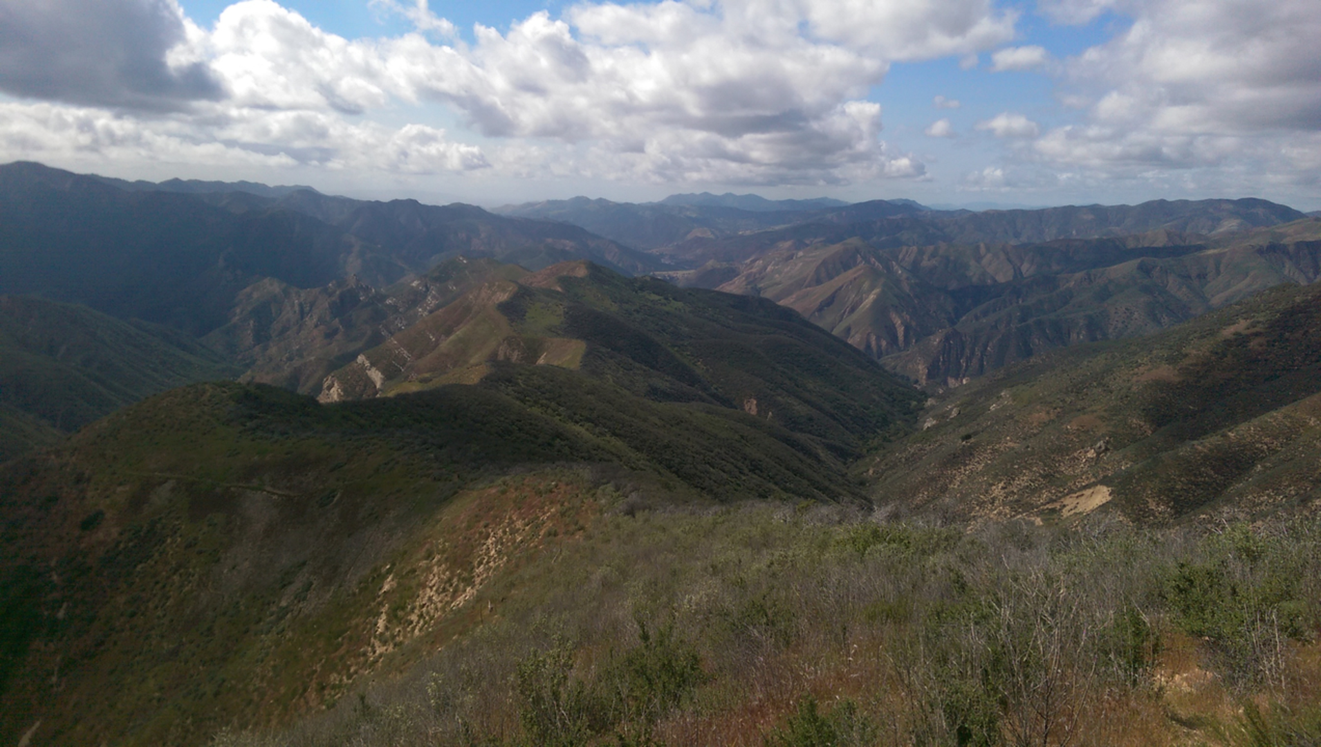 An image depicting the trail Mission Pine Trail and its surrounding area.