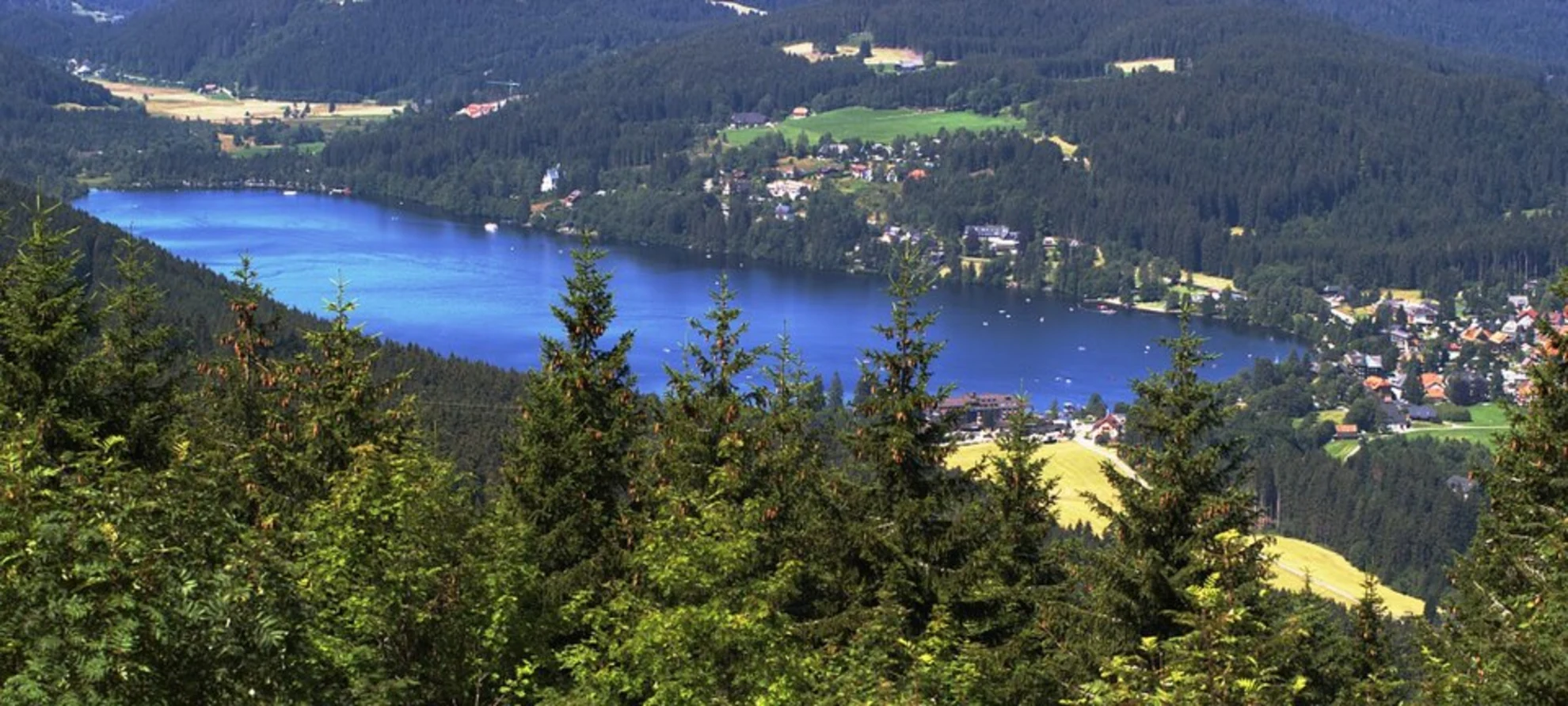 An image depicting the trail Mittelweg and its surrounding area.