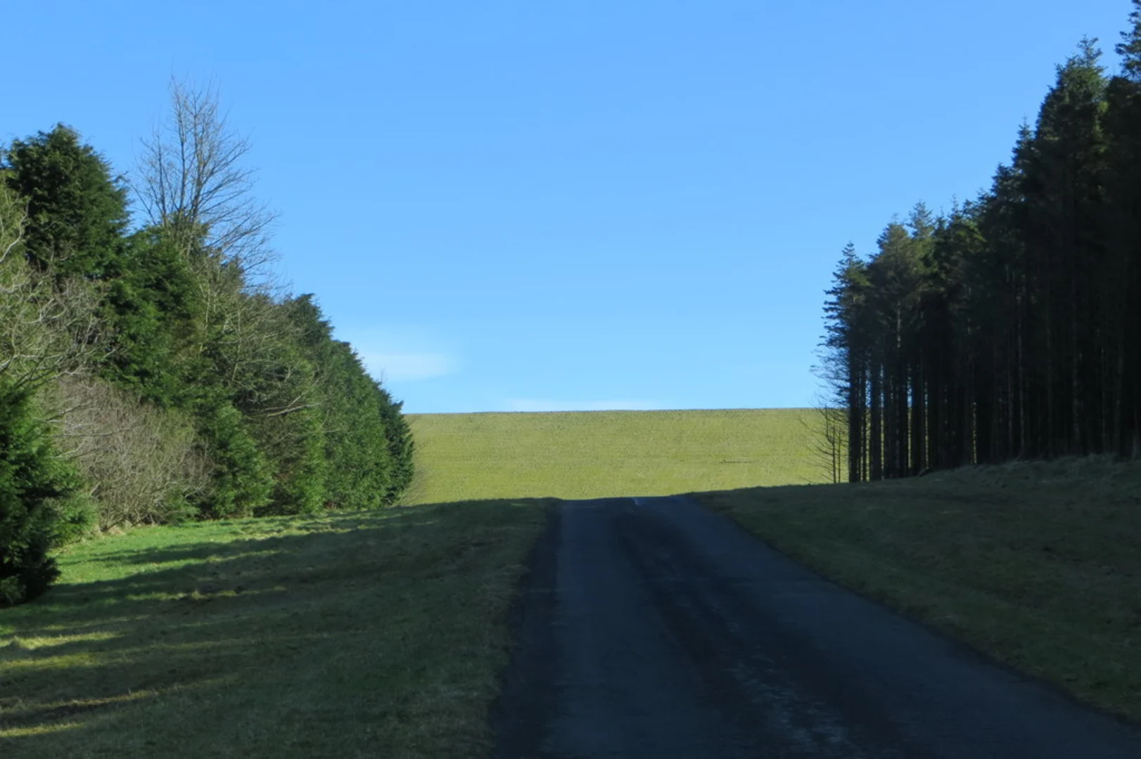 An image depicting the trail Ballyboley Forest Loop and its surrounding area.