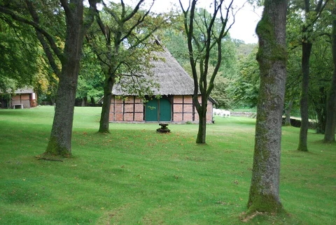 Rundwanderweg Bispingen