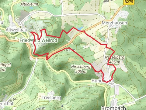 Meerpfuhl via Taunusklub Route