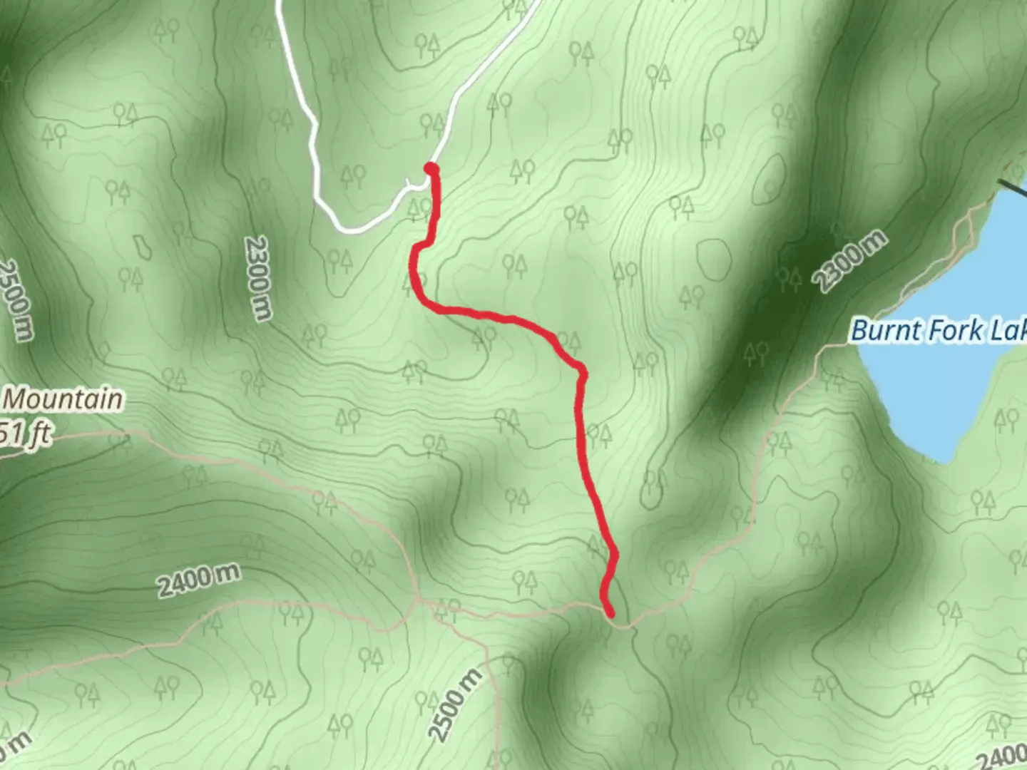 An image depicting the trail Upper Signal Creek Trail and its surrounding area.