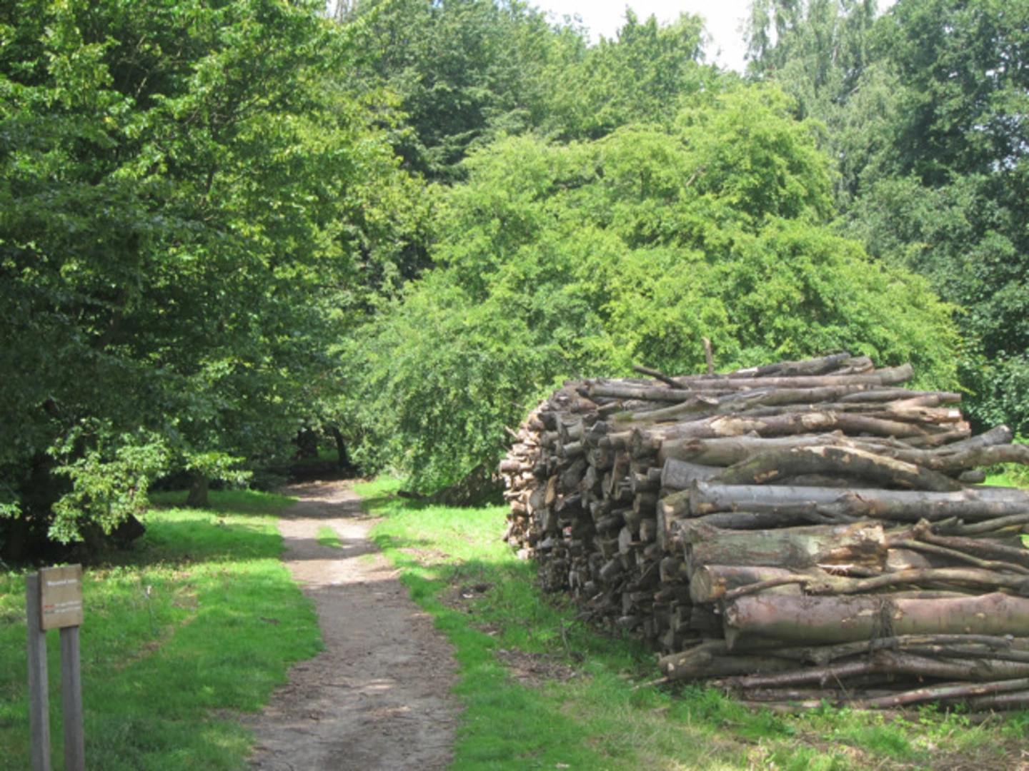 An image depicting the trail Great Wood, Randall Wood, Shorne Wood and Cobhambury Wood and its surrounding area.