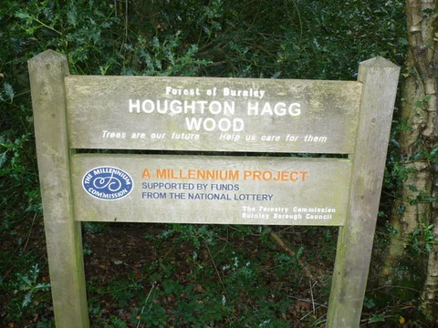 Hagg Wood Loop