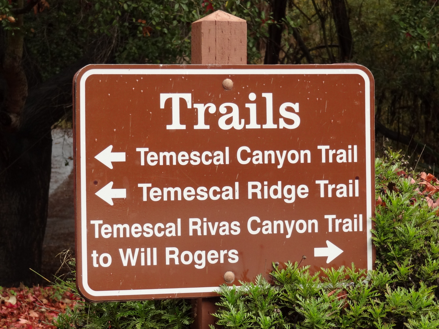An image depicting the trail Temescal Canyon - Temescal Ridge Loop Trail and its surrounding area.