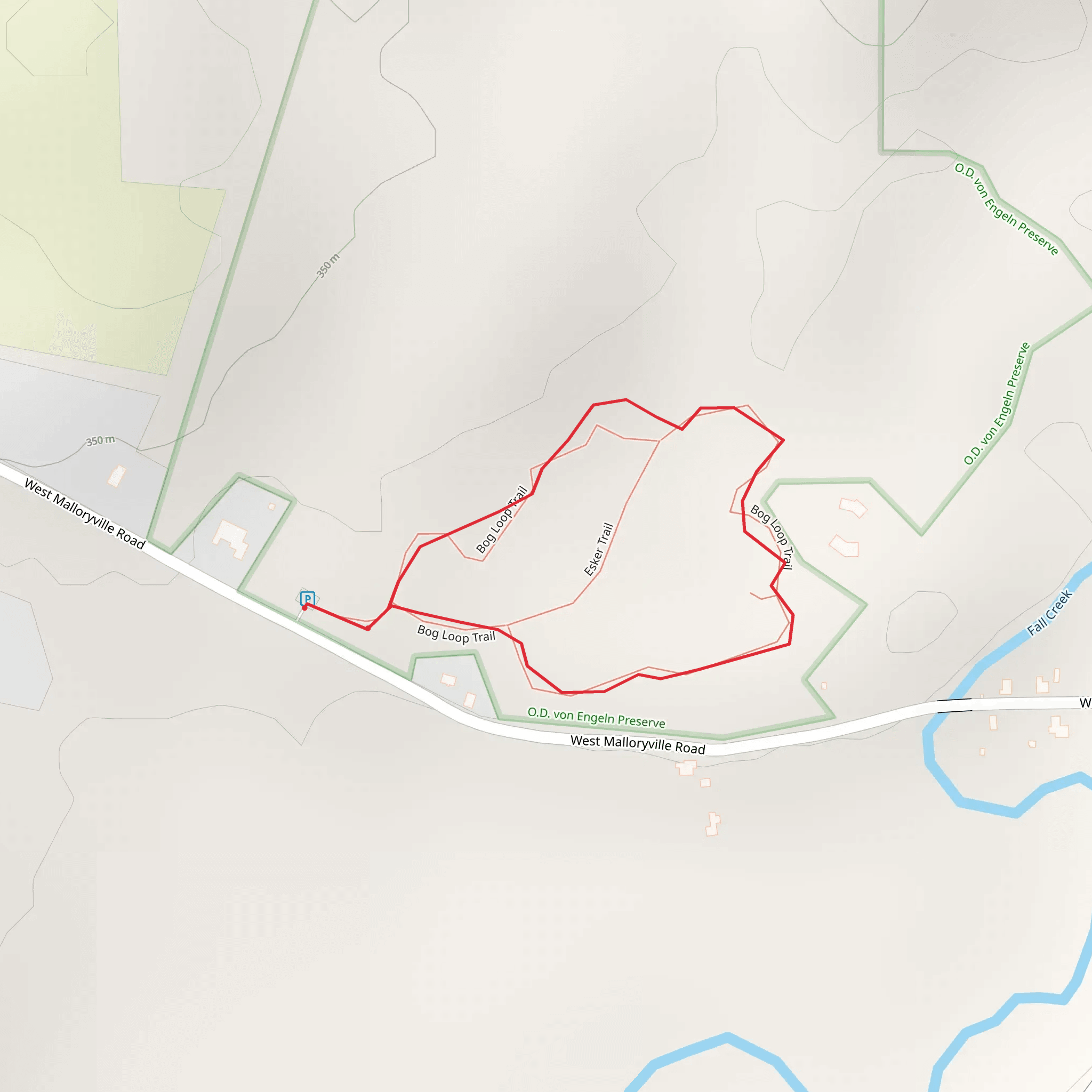 Bog Loop Trail mobile static map