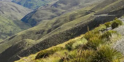 An image depicting the trail Long Gully Carpark to Nook Road Carpark and its surrounding area.