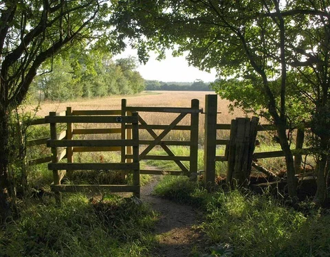 An image depicting the trail Amersham Circular Walk and its surrounding area.
