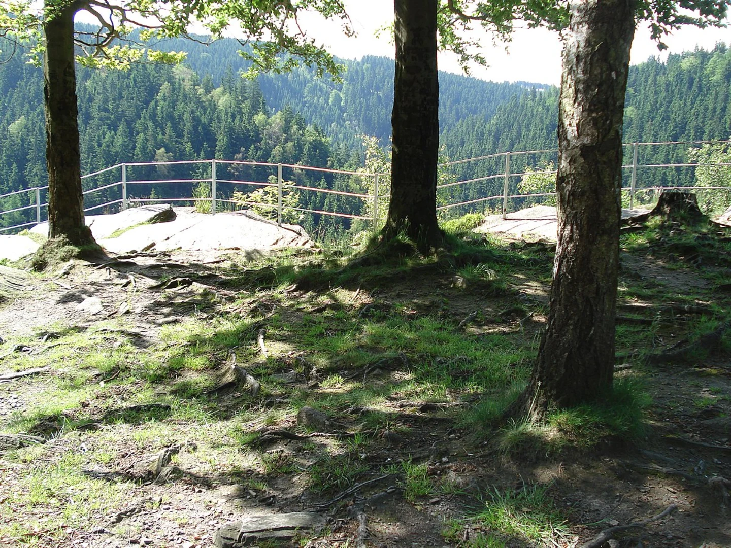 An image depicting the trail Spitzstein and Katzfels Loop and its surrounding area.