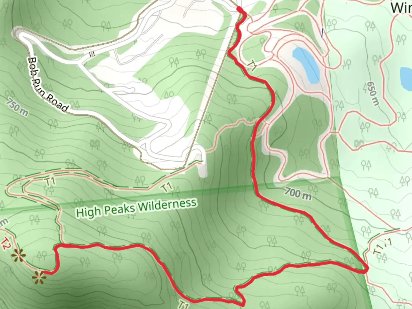 An image depicting the trail Mount Van Hoevenberg Trail from Bob Run Road Out and Back and its surrounding area.