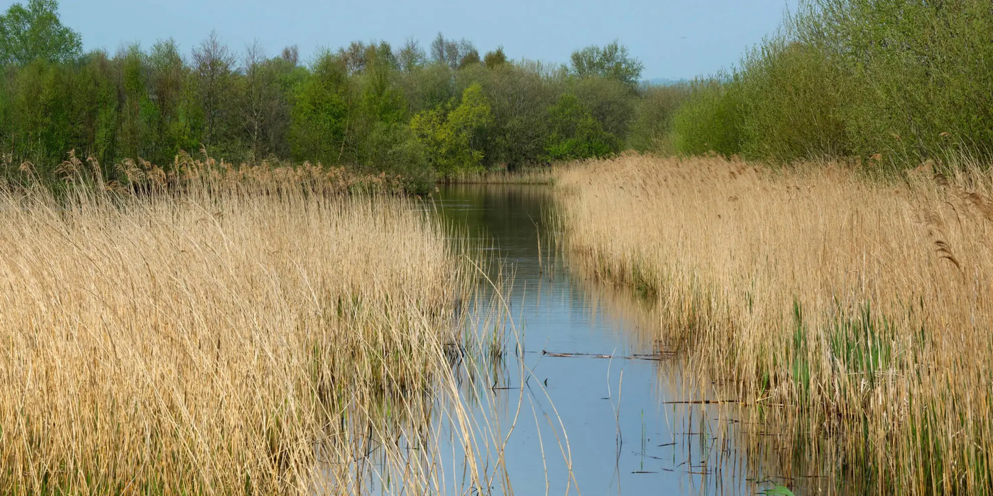 An image depicting the trail Mendip Ring and its surrounding area.