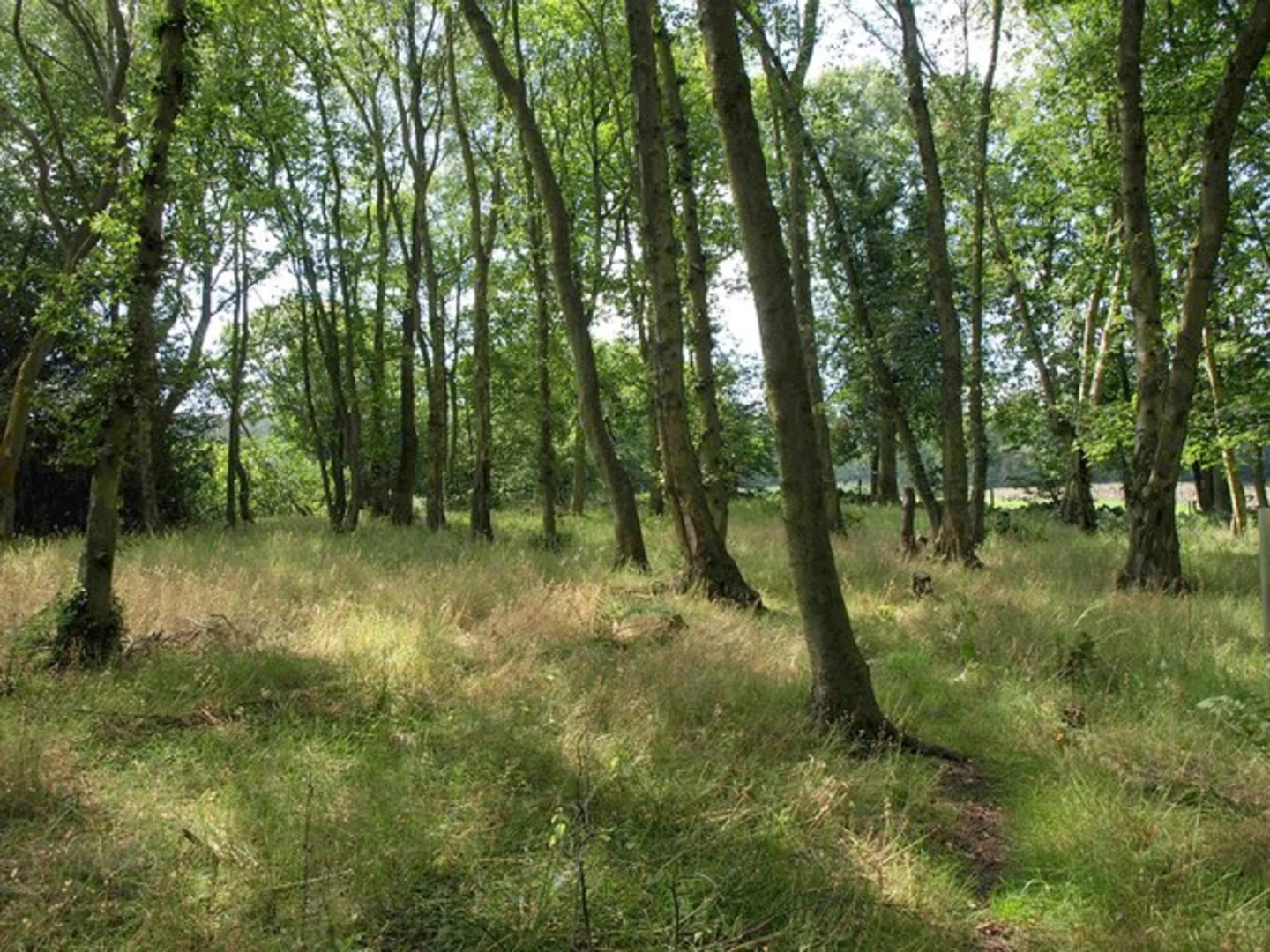 An image depicting the trail Upper Litton Reservoir Walk and its surrounding area.