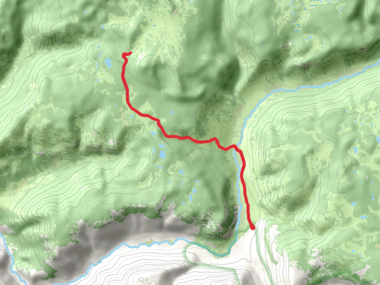 An image depicting the trail Nichols Creek Trail and its surrounding area.
