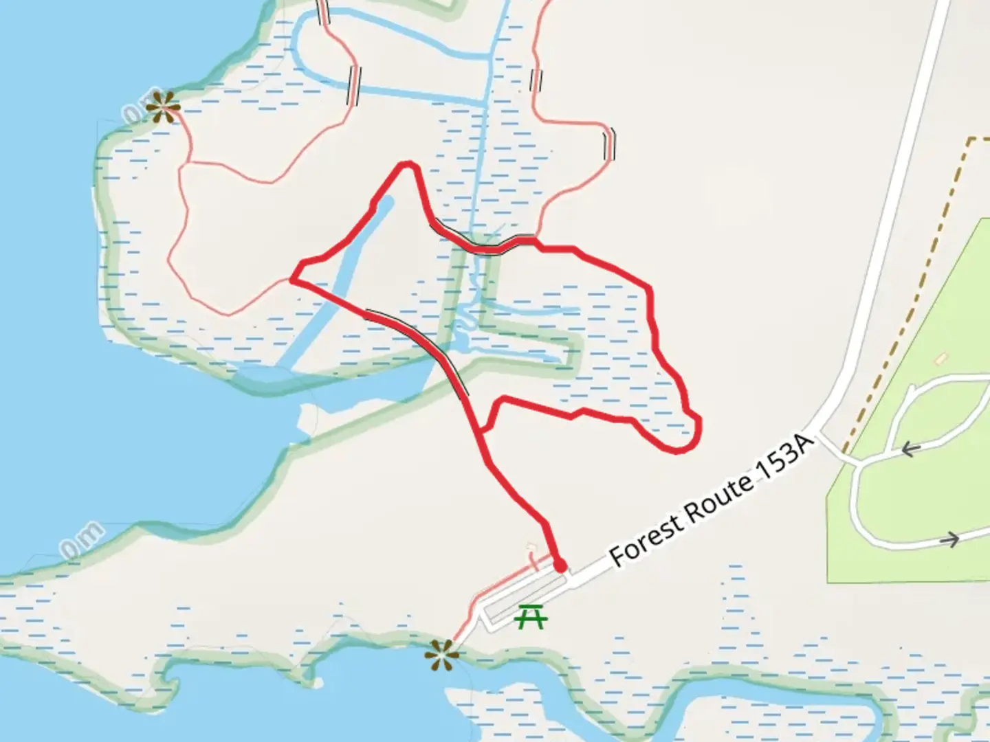 An image depicting the trail Tidelands Short Loop and its surrounding area.