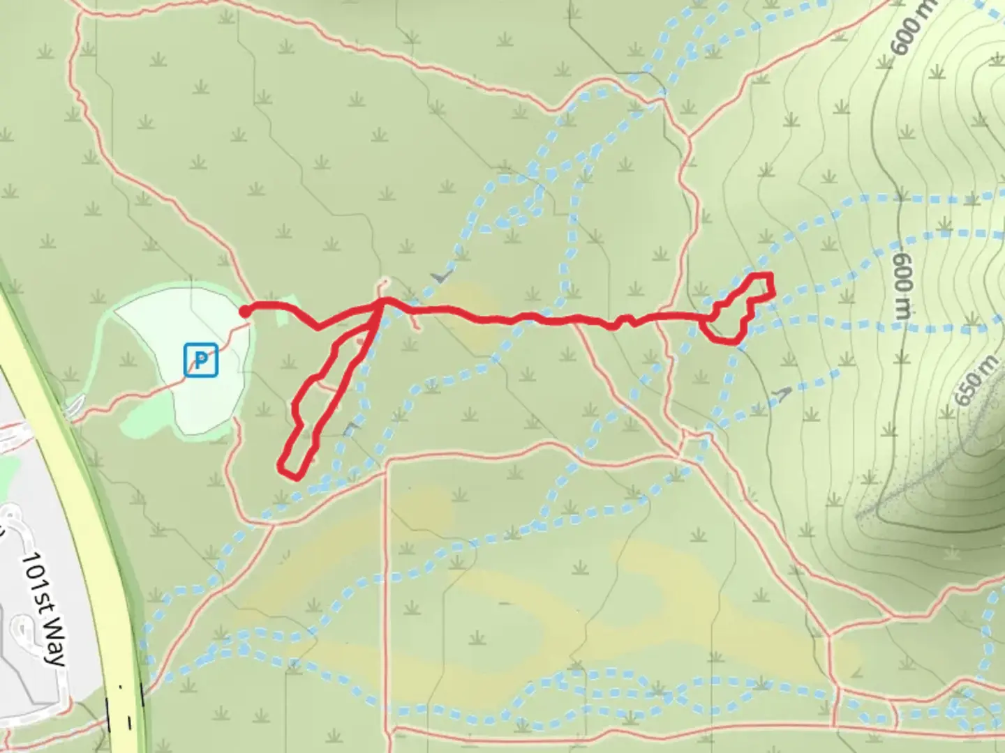 An image depicting the trail Saguaro and Bajada Nature Loop Trail and its surrounding area.