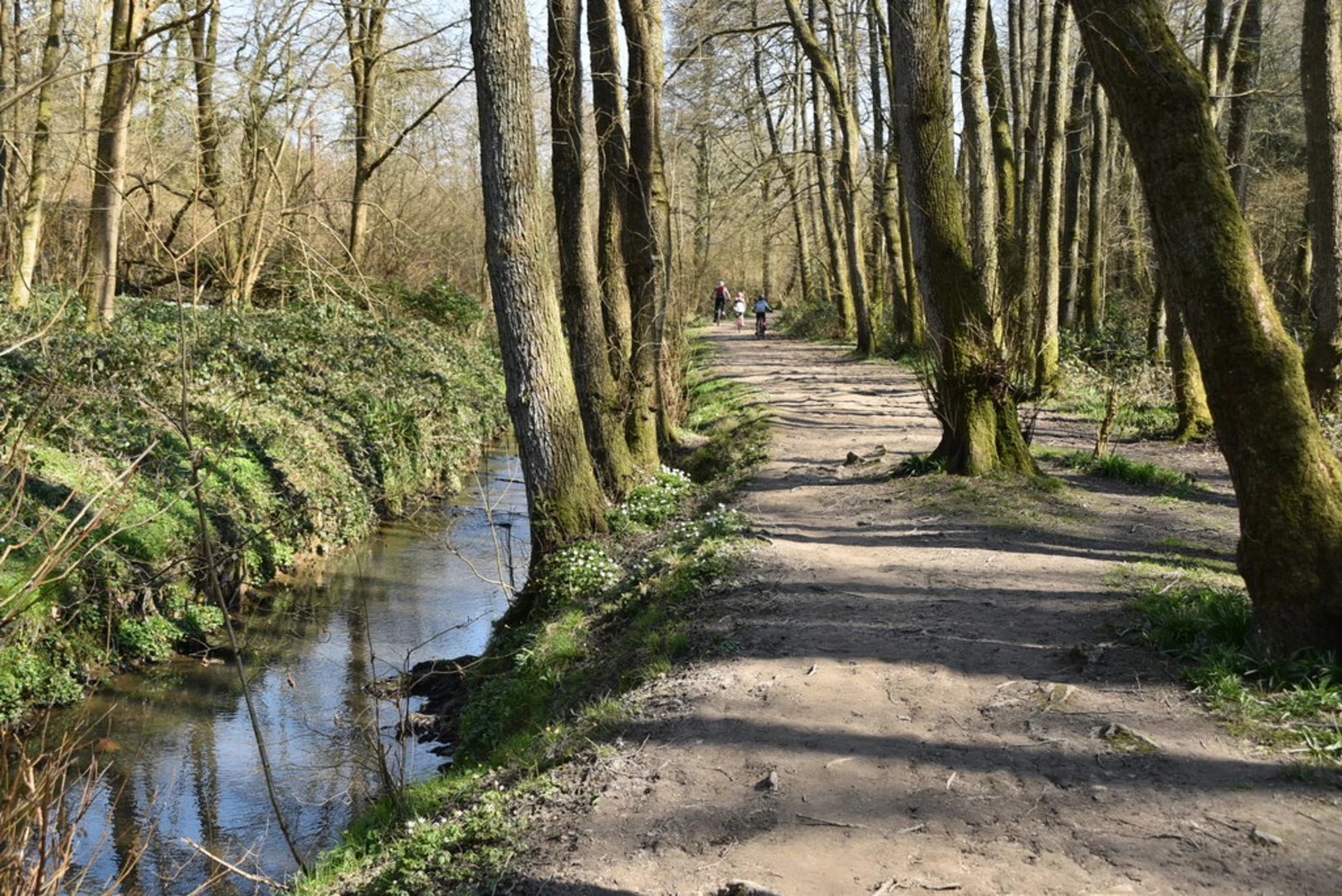 An image depicting the trail Tunbridge Wells, Groombridge and Frant Loop and its surrounding area.