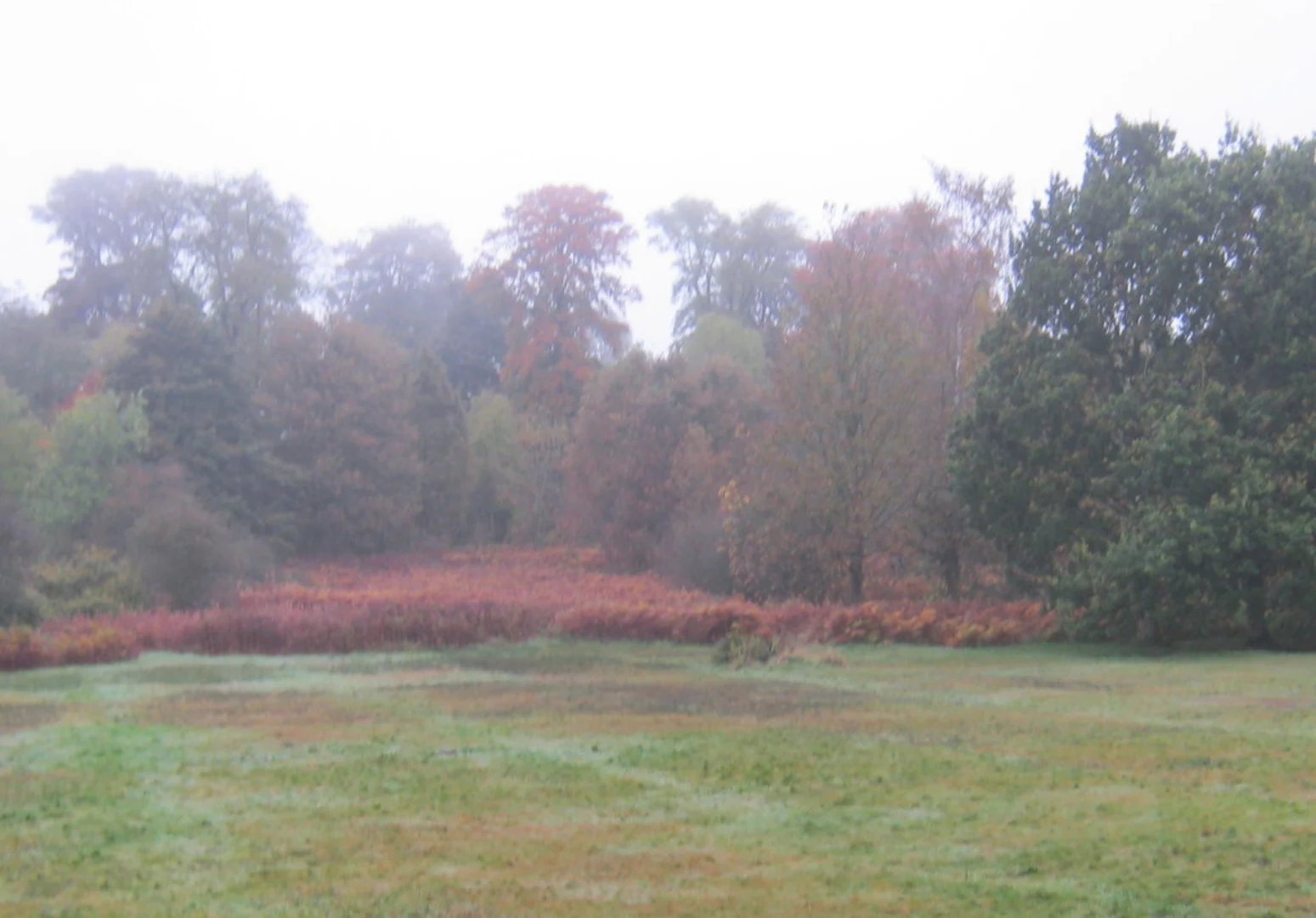 An image depicting the trail Bolam Lake Loop and its surrounding area.