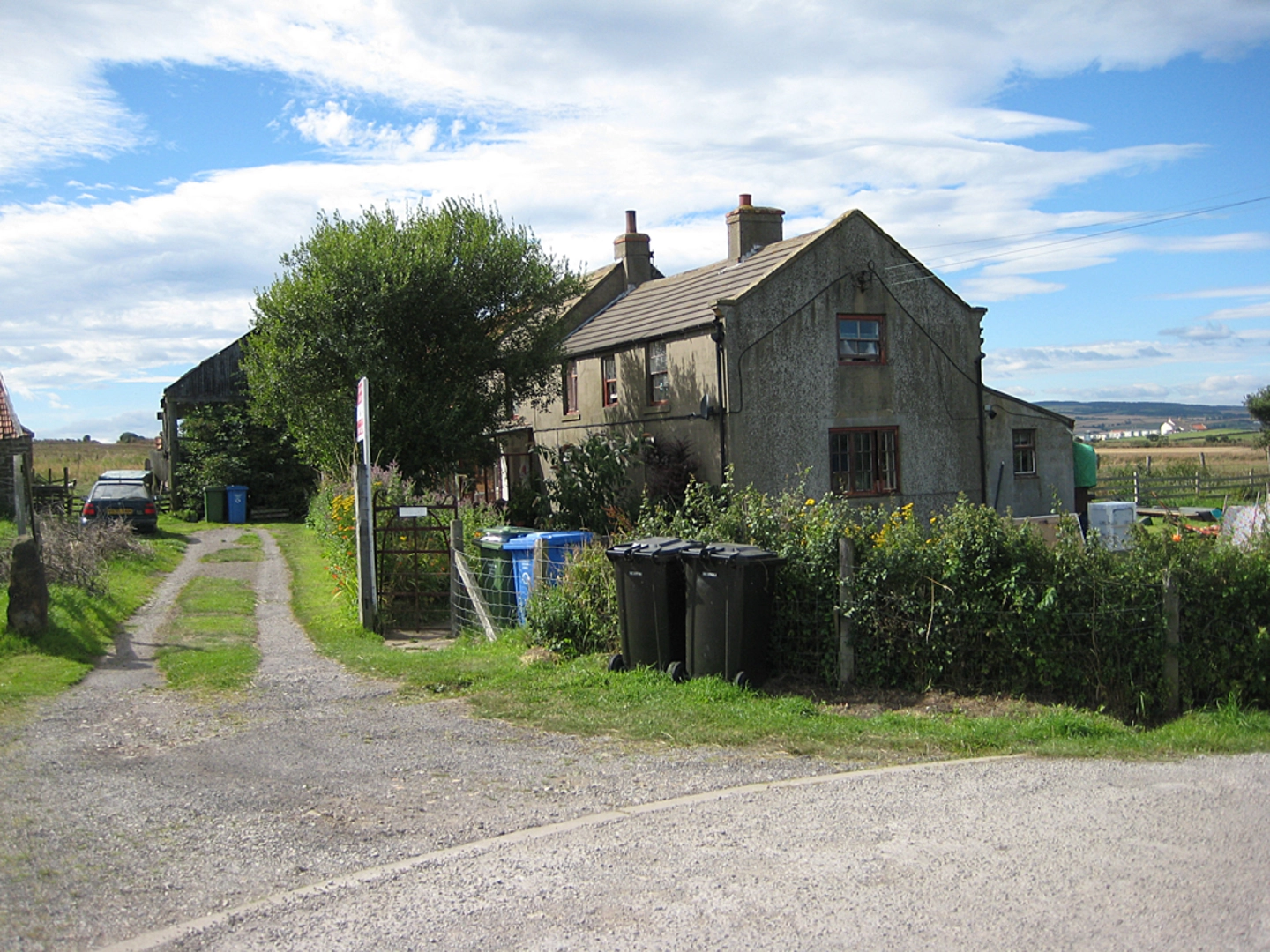 An image depicting the trail Ling Gill National Nature Reserve Walk from New Houses and its surrounding area.