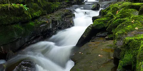 An image depicting the trail Murroe - Clare Glens Loop and its surrounding area.