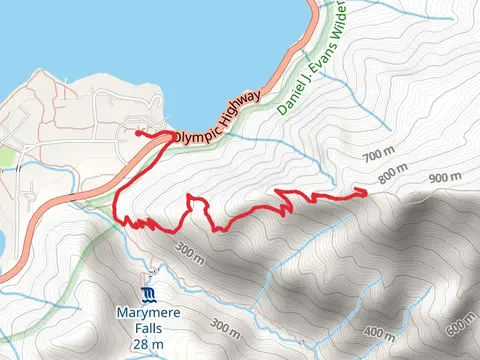 Marymere Falls Nature Trail and Storm King Trail