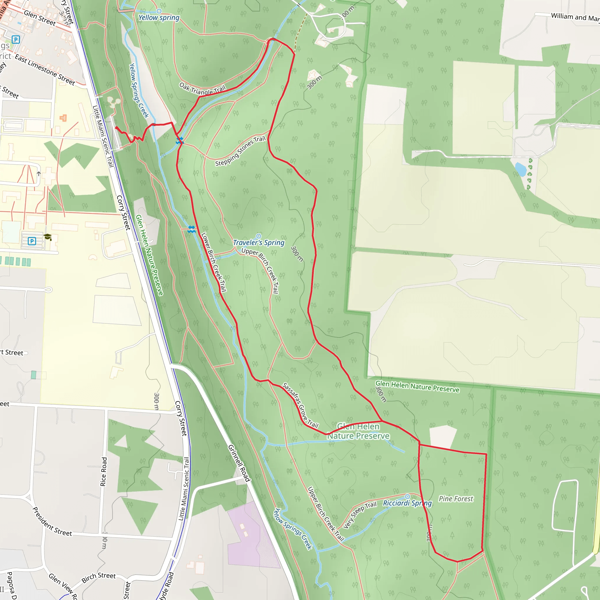Pine Forest - Lower Birch Creek - Sassafras Grove Loop Trail mobile static map