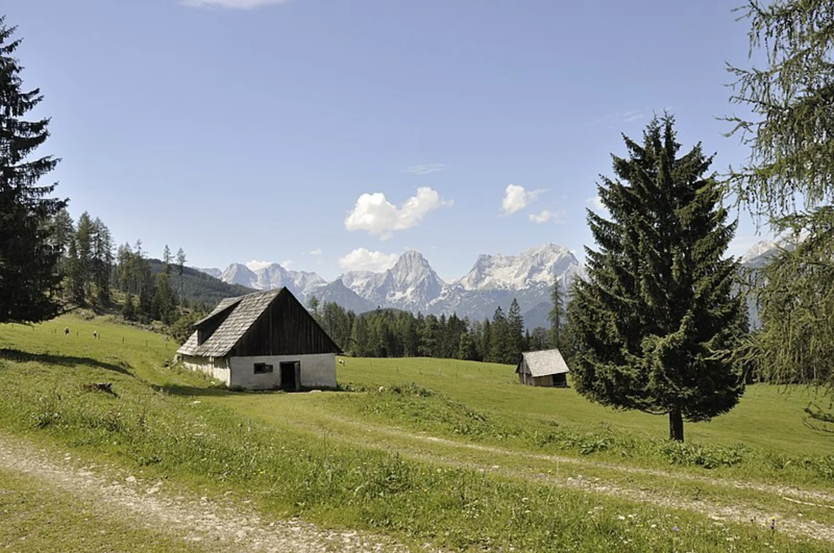 An image depicting the trail Wildererweg - the Hutberg Trail and its surrounding area.