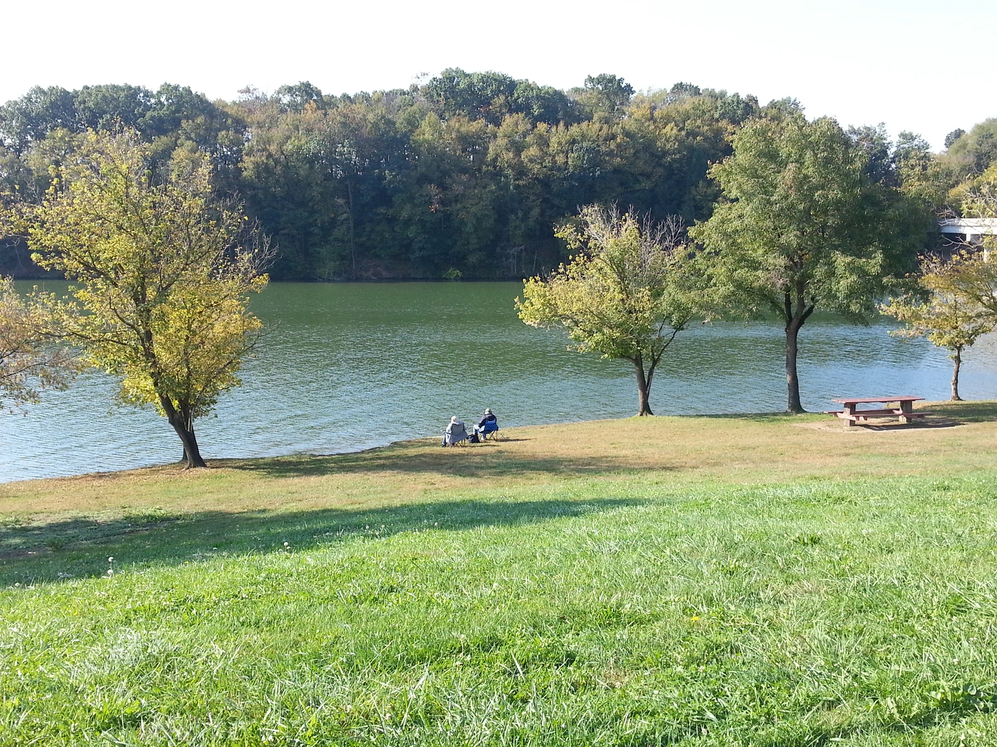 An image depicting the trail Tulpehocken Creek Loop and its surrounding area.