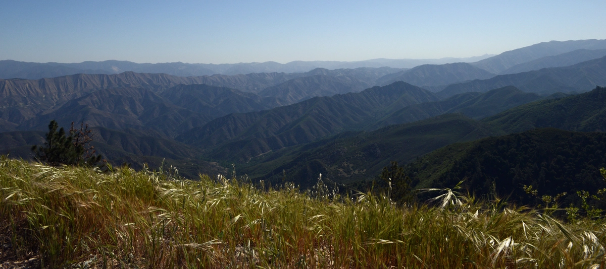 Fir Canyon Davy Brown Trail