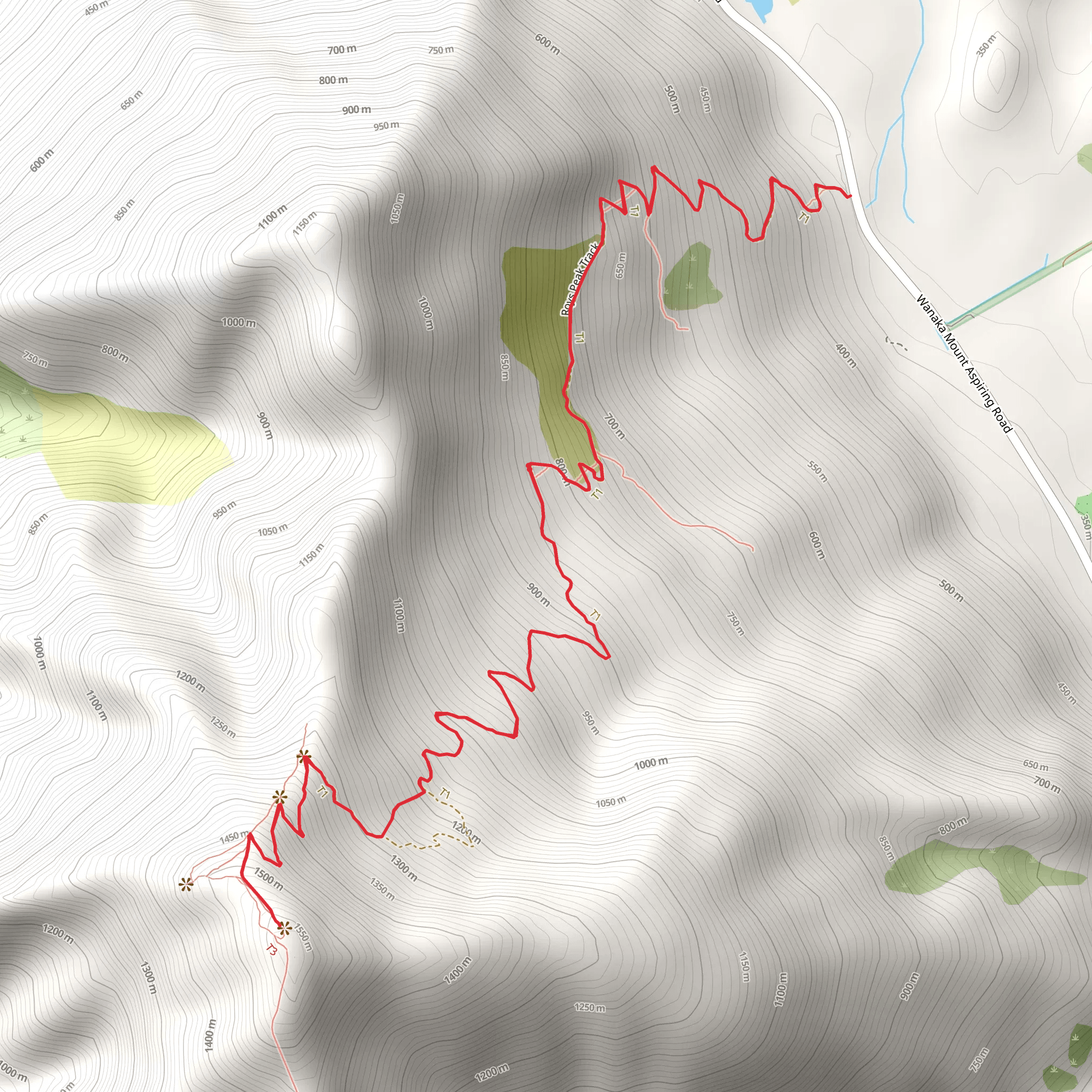 Roys Peak Track mobile static map