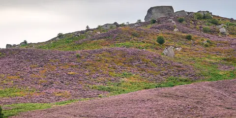 An image depicting the trail The Drake Stone and Harbottle Walk and its surrounding area.