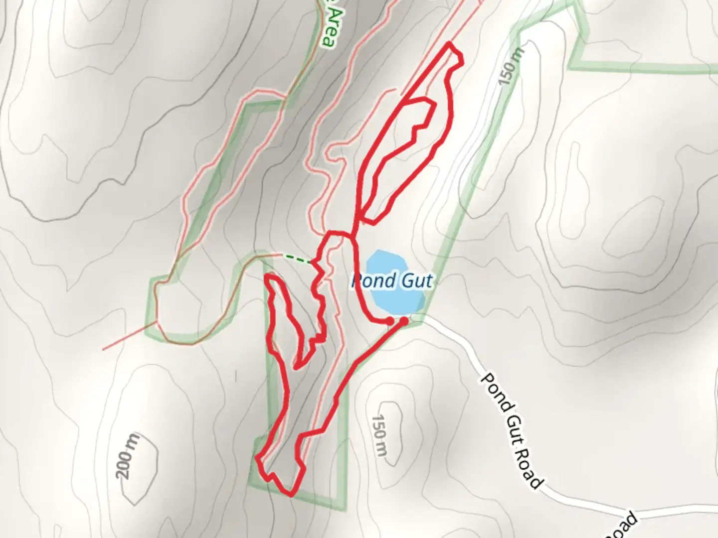 An image depicting the trail Pond Gut via Yellow Trail and its surrounding area.
