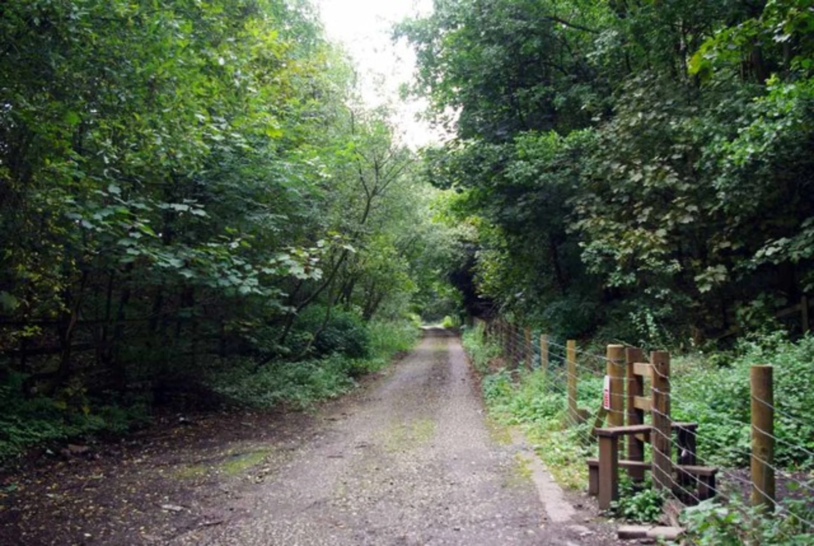 An image depicting the trail Park Brook, Springpool Wood and Madeley Loop and its surrounding area.