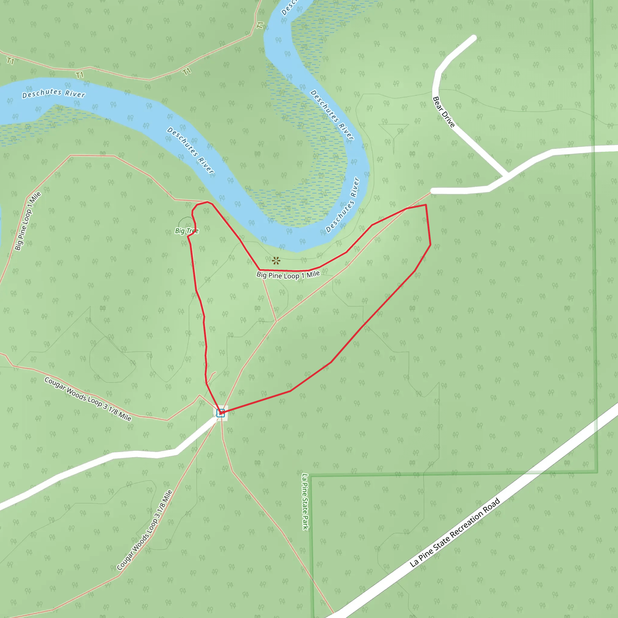 Big Pine Loop 1 Mile mobile static map