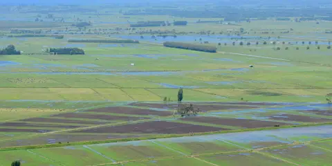 An image depicting the trail Papamoa Hills Loop and its surrounding area.