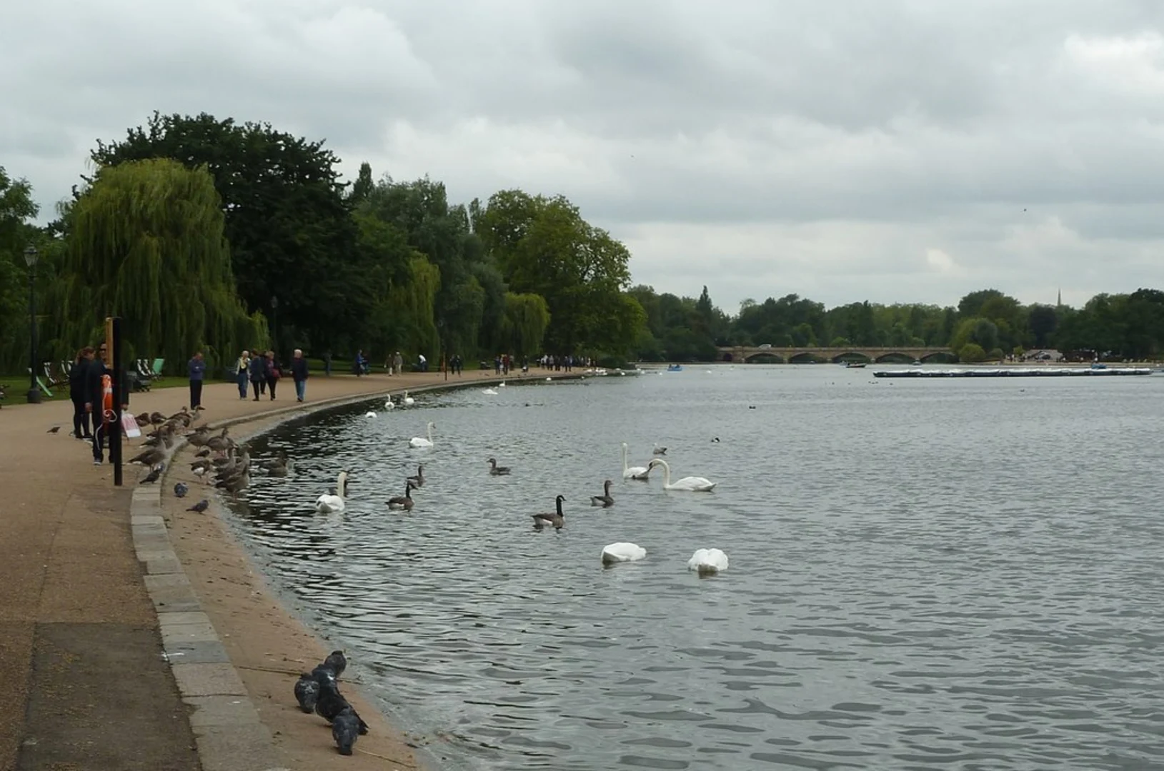 An image depicting the trail Hyde Park Loop and its surrounding area.