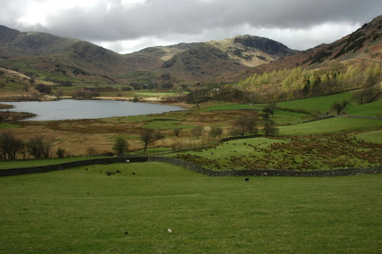 An image depicting the trail Elterwater and Little Landale Loop via Fletchers Wood and its surrounding area.