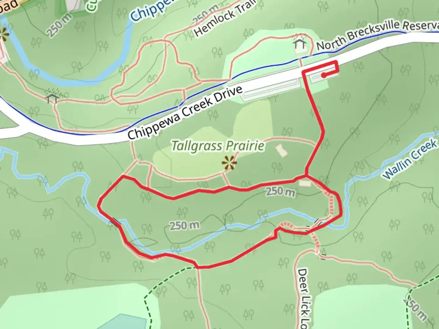 An image depicting the trail Deer Lick Cave and Hemlock Loop Trail and its surrounding area.