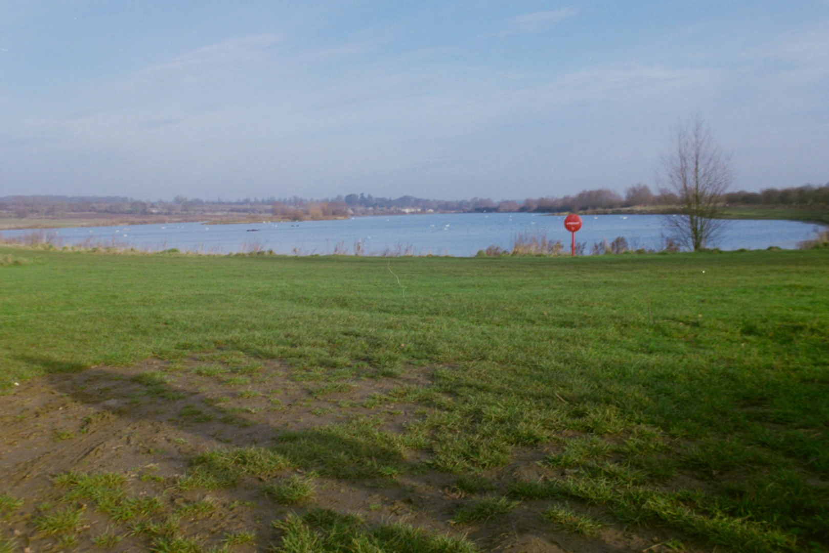 An image depicting the trail Harrold Odell Country Park Short Loop and its surrounding area.