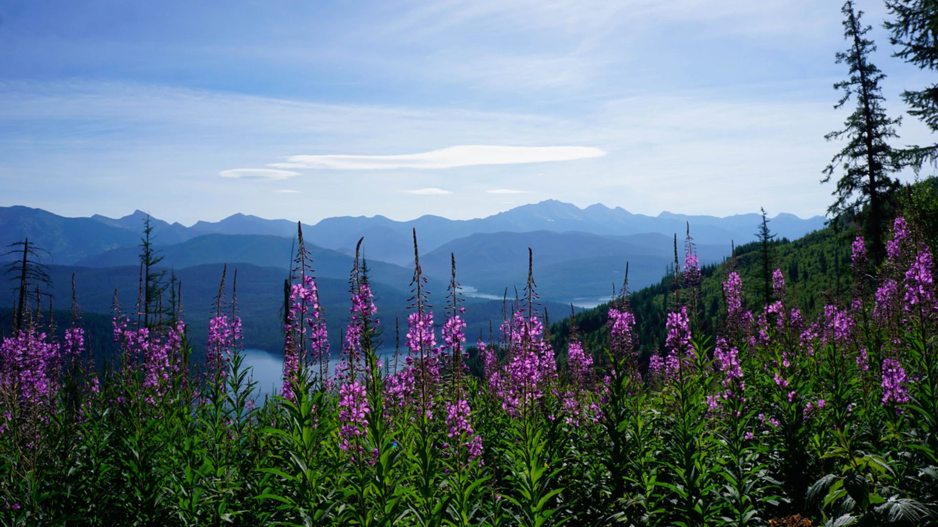 An image depicting the trail Pioneer Ridge Trail and its surrounding area.