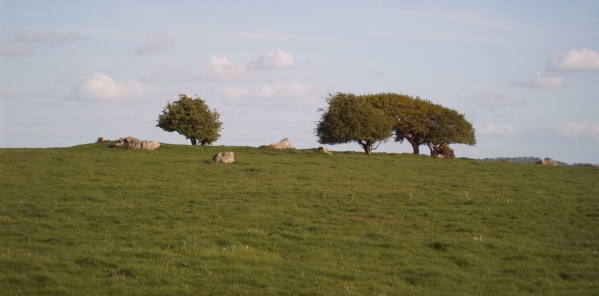 An image depicting the trail Three Forests Way and its surrounding area.