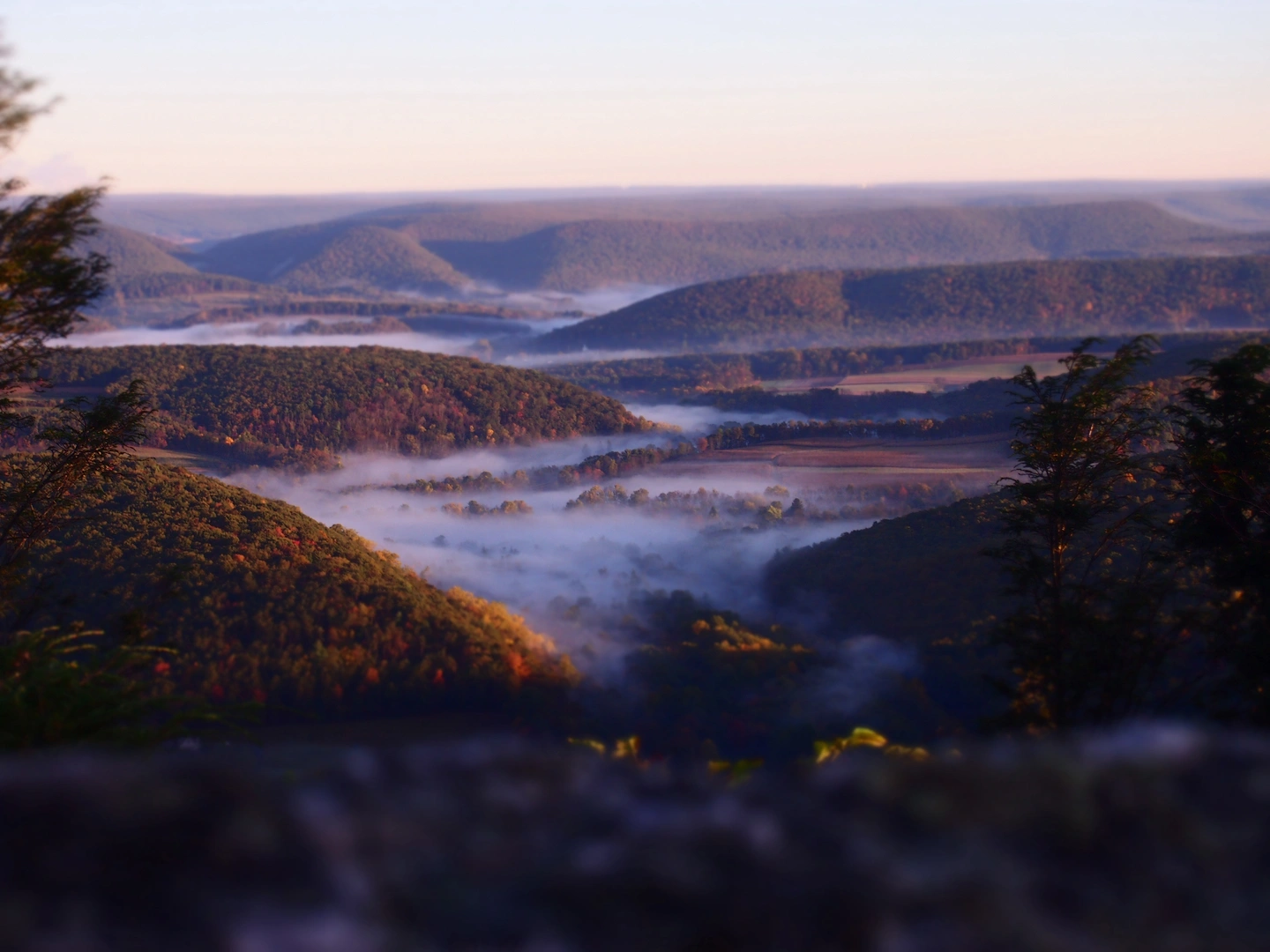 An image depicting the trail River of Rocks Trail via Lookout trail and its surrounding area.